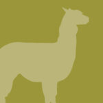 Yellow River Wildlife Alpaca icon