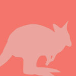 YRWS Bennett's Wallaby icon