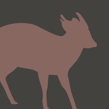 Reeve's muntjac icon