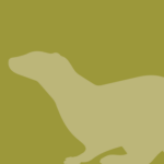 View River Otter
