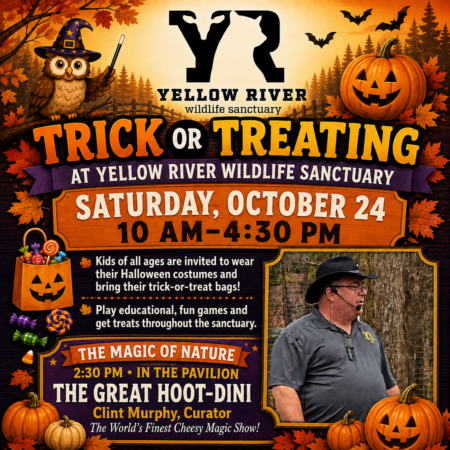 Trick or Treating Trick or Treat at Yellow River Wildlife Sanctuary this Halloween